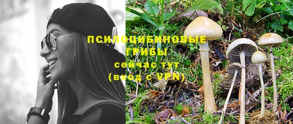 трава Новокубанск