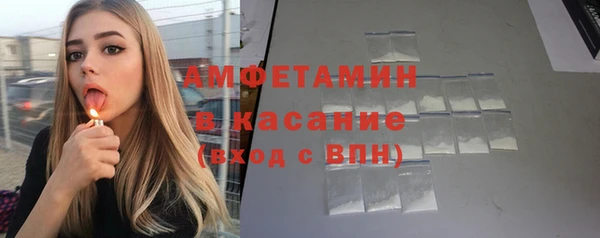 стаф Новозыбков