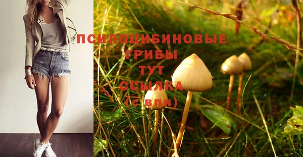 трава Новокубанск