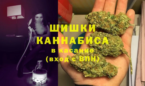 стаф Новозыбков