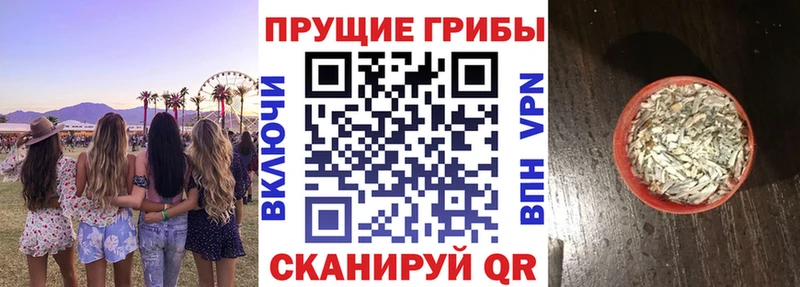 Псилоцибиновые грибы Psilocybine cubensis Новое Девяткино