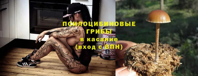 Псилоцибиновые грибы GOLDEN TEACHER  сколько стоит  Новое Девяткино 