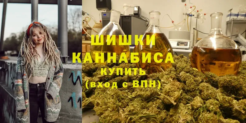 Шишки марихуана THC 21%  сколько стоит  Новое Девяткино 